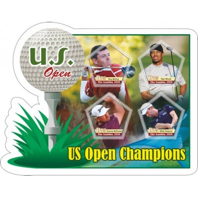 Спорт Чемпионы Открытого чемпионата США по теннису